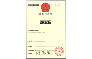 宜安特商標注冊證